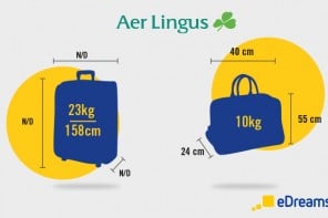 aer lingus hand luggage measurements