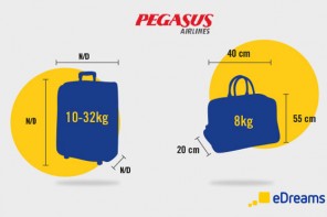 buy baggage pegasus