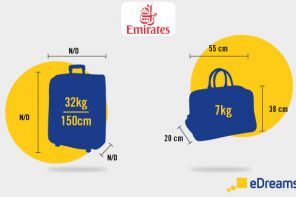 Hand Luggage and Checked Baggage Allowance by Airline - eDreams Travel Blog