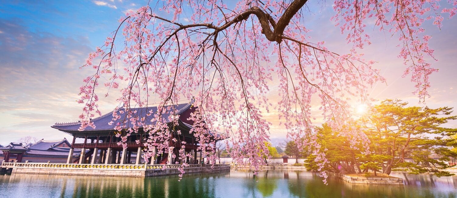 Beautiful Places To Visit In Spring