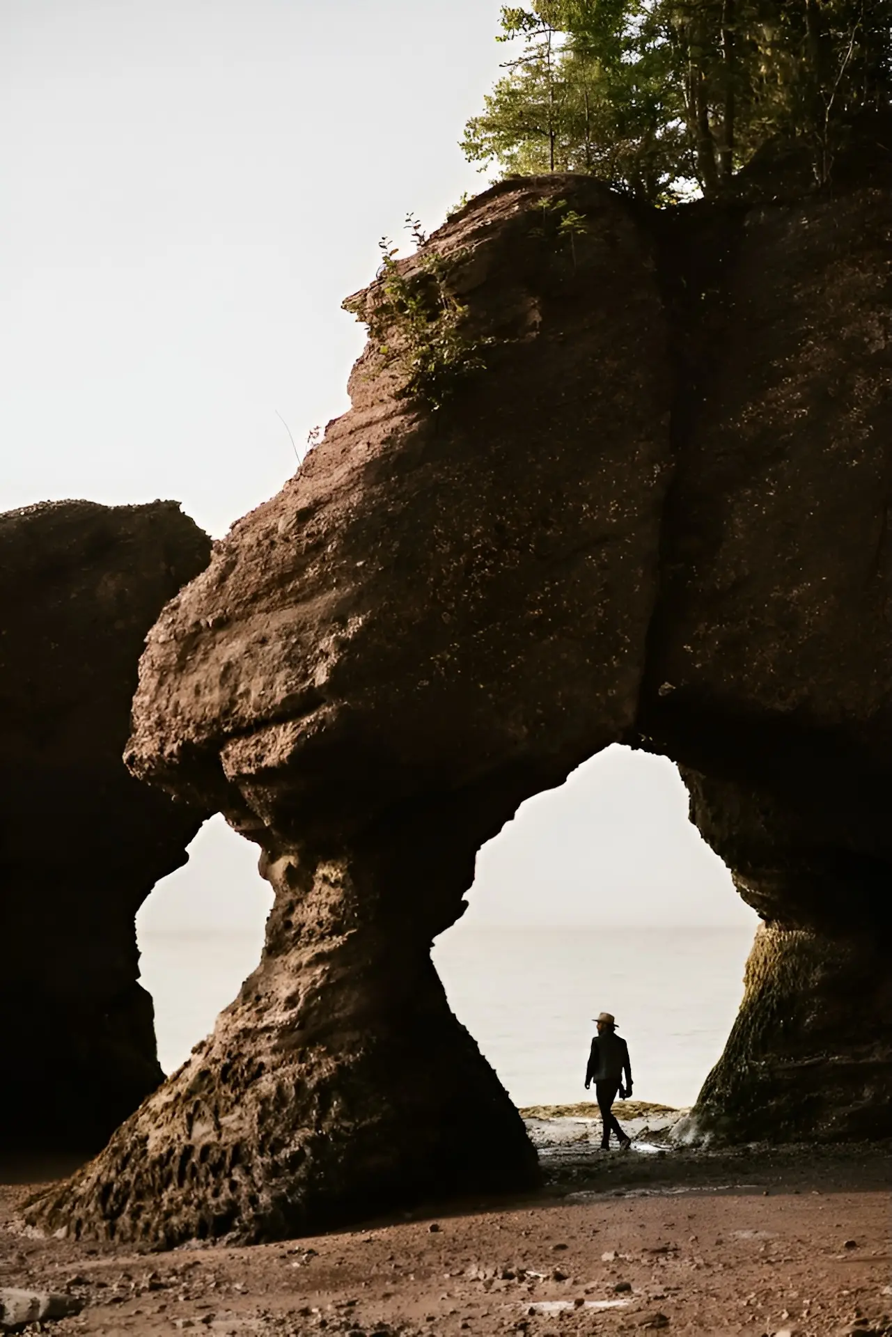 Baie de Fundy